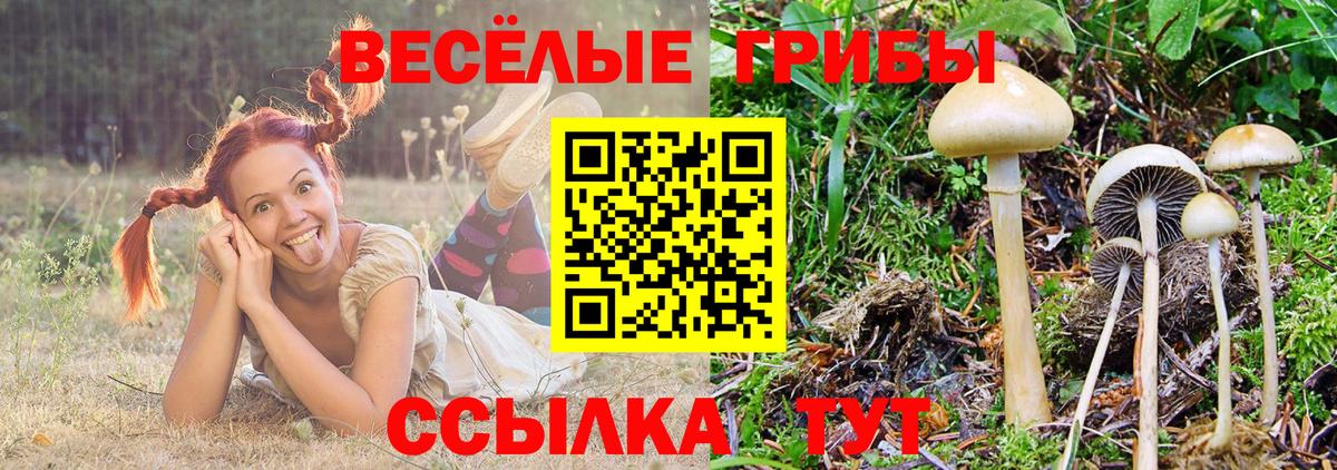 Псилоцибиновые грибы GOLDEN TEACHER Белая Калитва