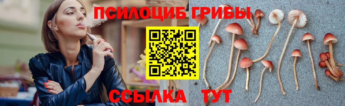 Галлюциногенные грибы ЛСД Белая Калитва